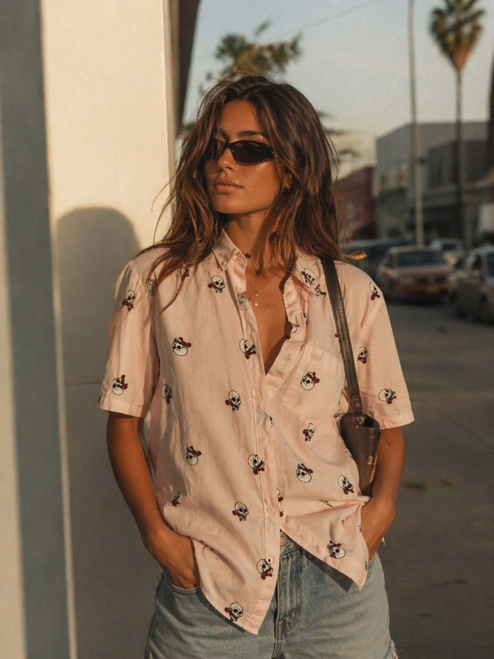 Hollister Light Pink Skull And Rose Print Casual Button Up Cotton Stretch Shirt
